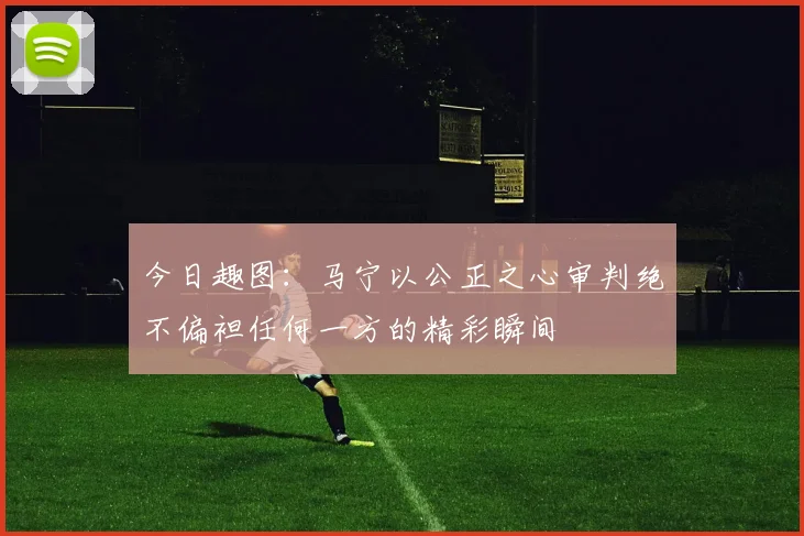 今日趣图：马宁以公正之心审判绝不偏袒任何一方的精彩瞬间