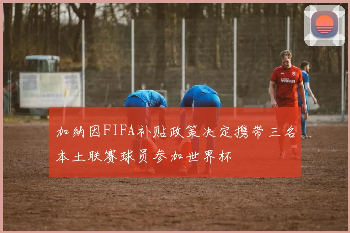 加纳因FIFA补贴政策决定携带三名本土联赛球员参加世界杯