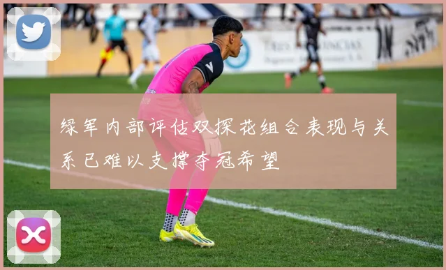绿军内部评估双探花组合表现与关系已难以支撑夺冠希望